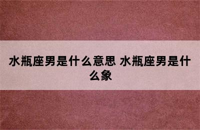 水瓶座男是什么意思 水瓶座男是什么象